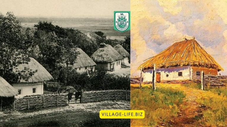 Хутір і село: у чому полягає різниця між цими поняттями?