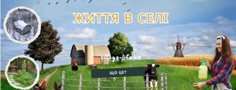 Життя в селі чи місті: чому тисячі українців міняють квартири на хатини і чи варто це робити?