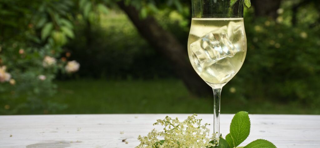Бузинове вино, ягоди бузини лікувальні властивості