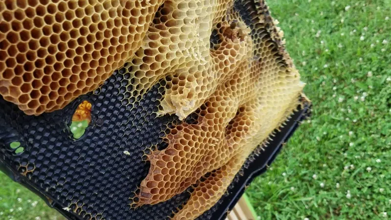 пластикові рамки для вуликів