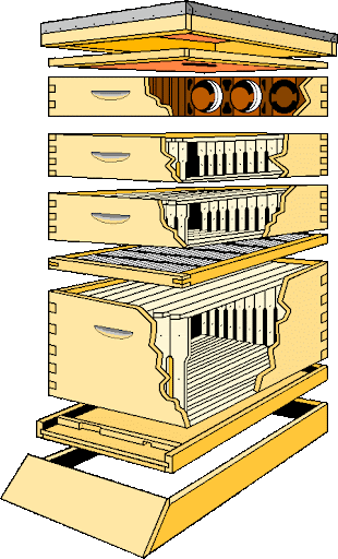 Розміри багатокорпусного вулика (Лангстрот-Рута)