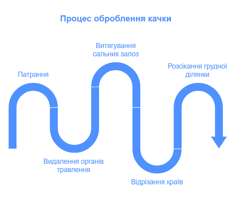 Інфографіка Процес оброблення качки