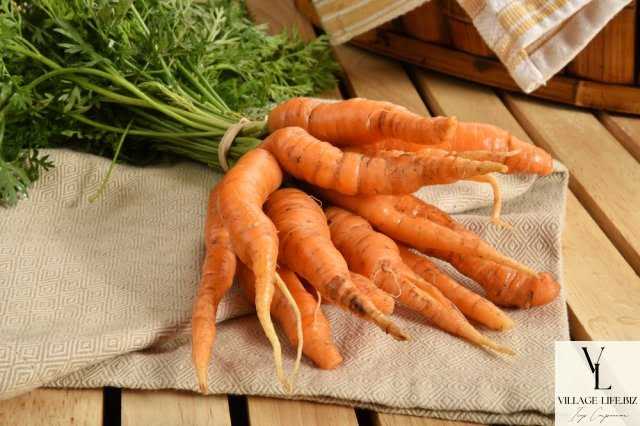 які овочі і фрукти можна їсти - морква