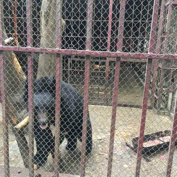 Приватний зоопарк “Крайня хата” - Де в Тернополі відпочити