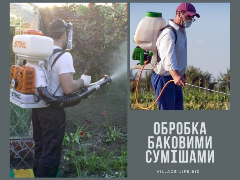 Бакові суміші: чому вони не завжди працюють і як їх правильно застосовувати