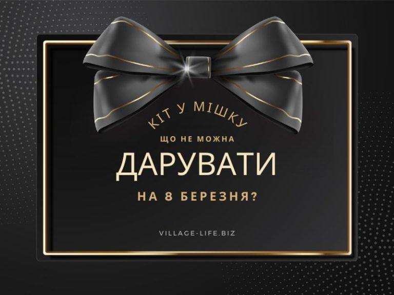 Найгірший вибір: подарунки на 8 березня, які ніколи нікому не подобаються – 2023