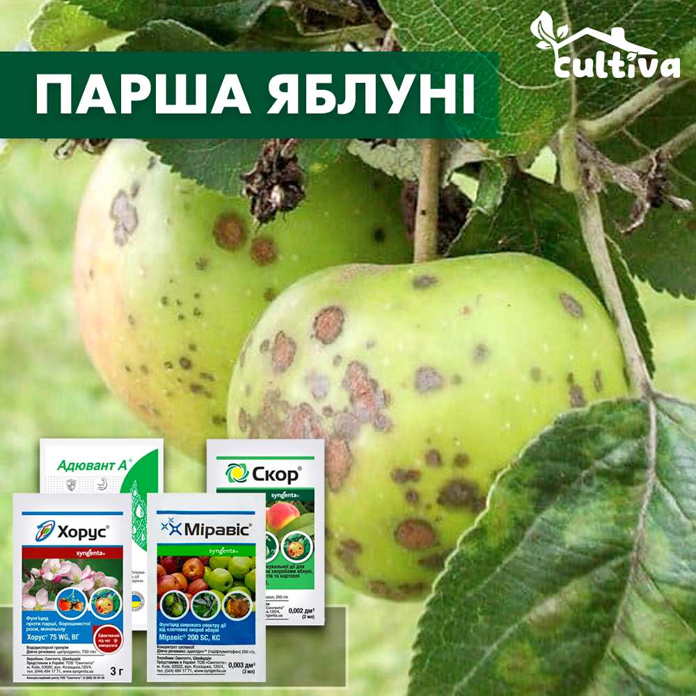 Парша яблуні - комплект