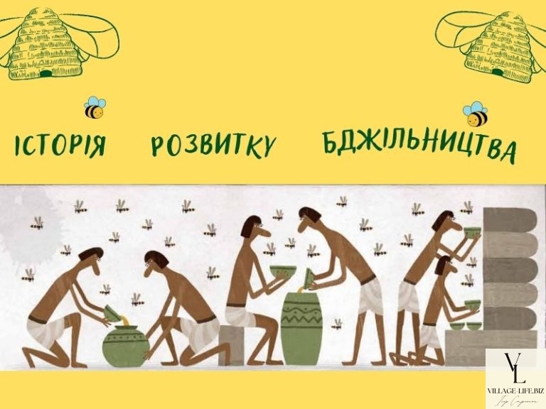 Від стародавніх цивілізацій до сучасності: Історія розвитку бджільництва, яку варто знати