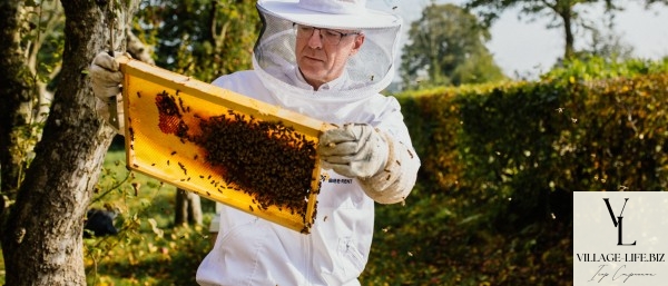 Перспективи розвитку бджільництва, - Історія розвитку бджільництва