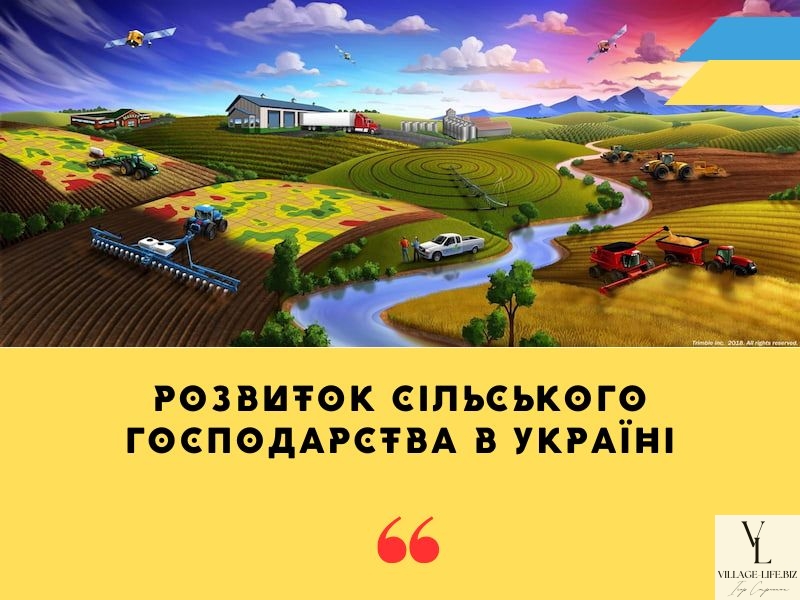 Розвиток сільського господарства в Україні: проблеми та перспективи