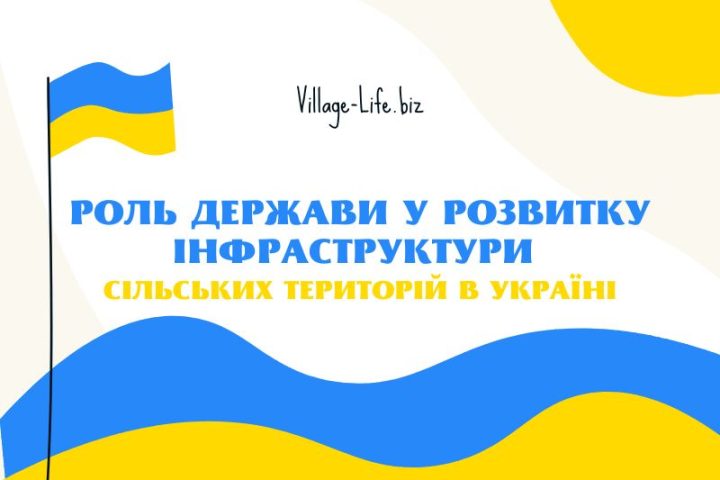Роль держави у розвитку інфраструктури сільських територій в Україні