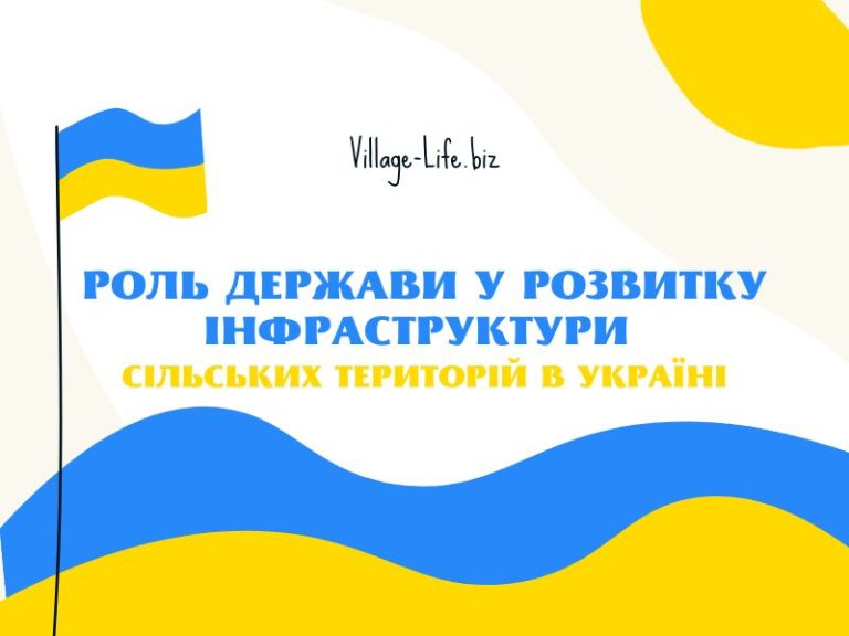 Роль держави у розвитку інфраструктури сільських територій в Україні: проблеми та перспективи