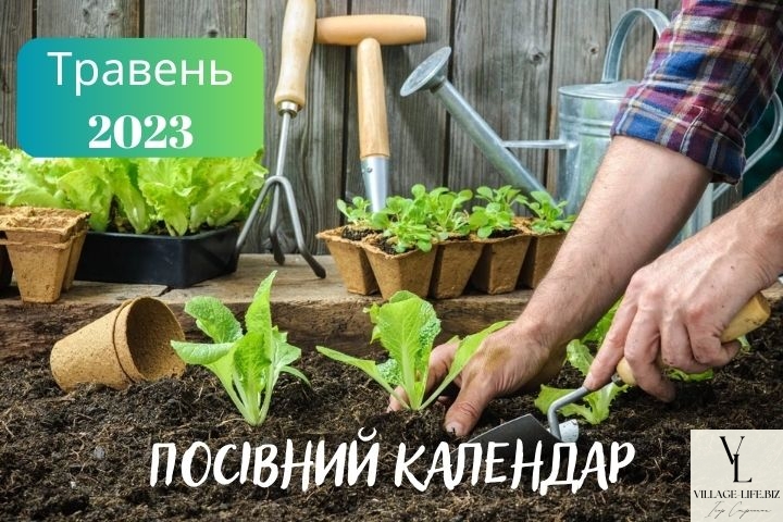 Місячний посівний календар на травень 2023 року для садівника, городника і квітникаря