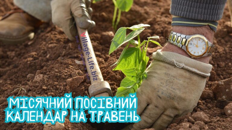 Місячний посівний календар на травень для садівника, городника і квітникаря