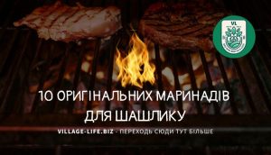 10 оригінальних маринадів для шашлику з ківі, м’ятою та мінералкою