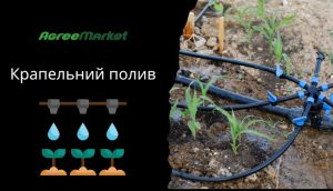 Крапельний полив: Види, переваги та ефективне застосування в сільському господарстві та садівництві