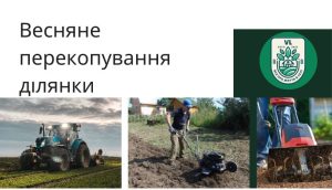 Весняне перекопування ділянки: чи є це обов'язковим кроком у підготовці до садівництва?