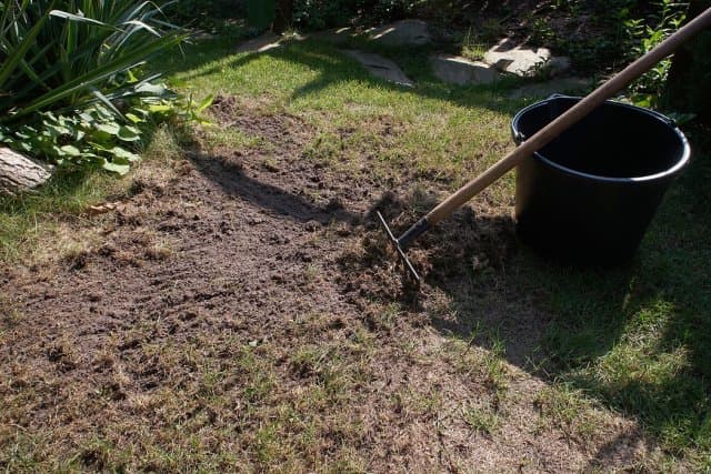 Як провести підсів газонної трави, -  як правильно підсівати газонну траву