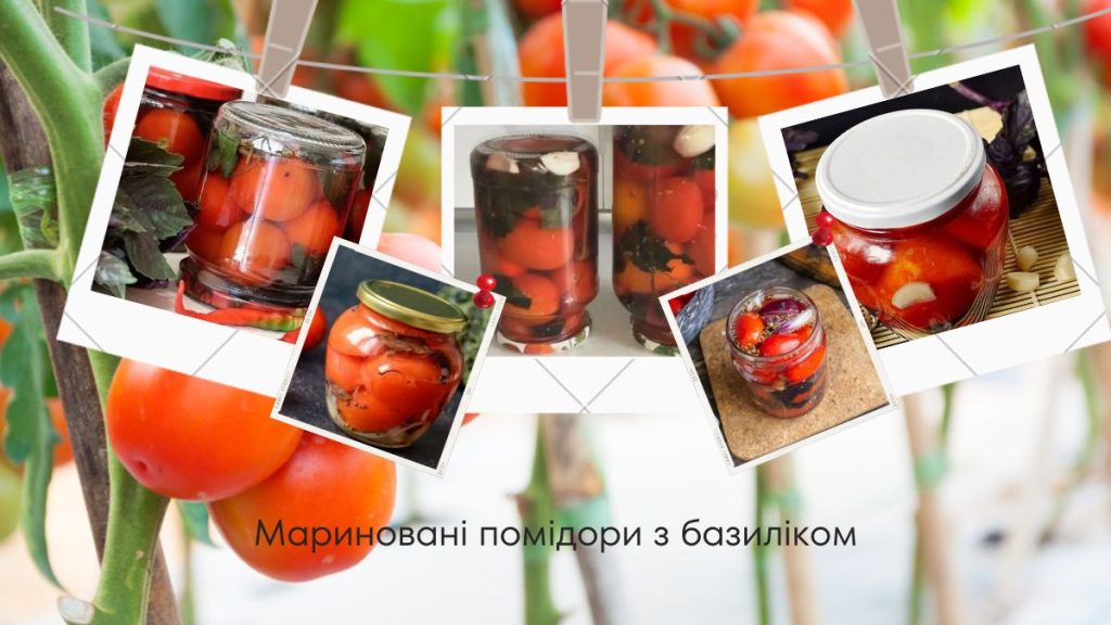 Мариновані помідори з базиліком: смачні рецепти на зиму без стерилізації