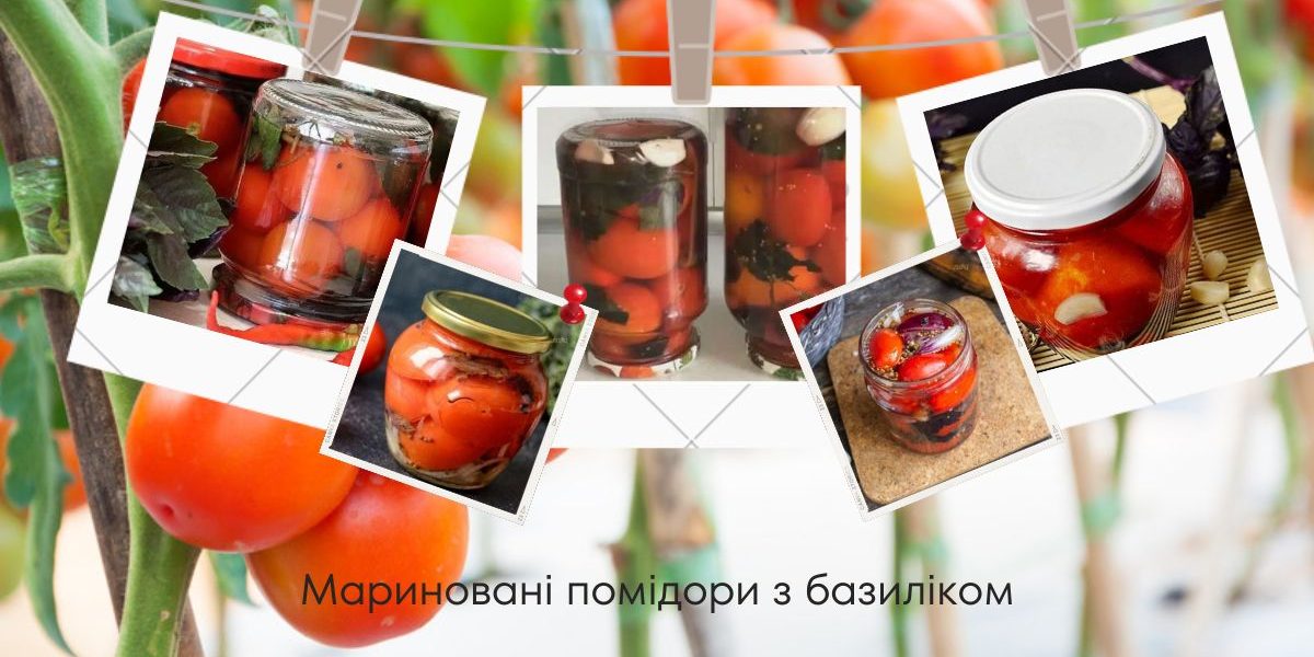 Мариновані помідори з базиліком