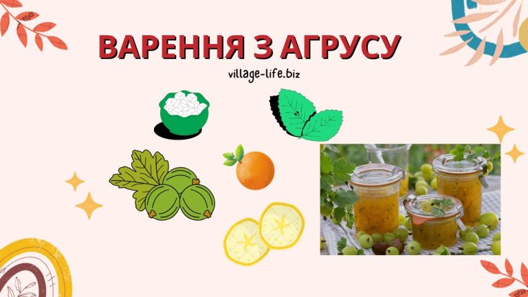 Варення з аґрусу і лимоном: смачні 9 рецептів на зиму без варіння
