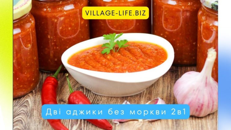 Аджика без моркви - 2 прекрасні рецепти в домашніх умовах