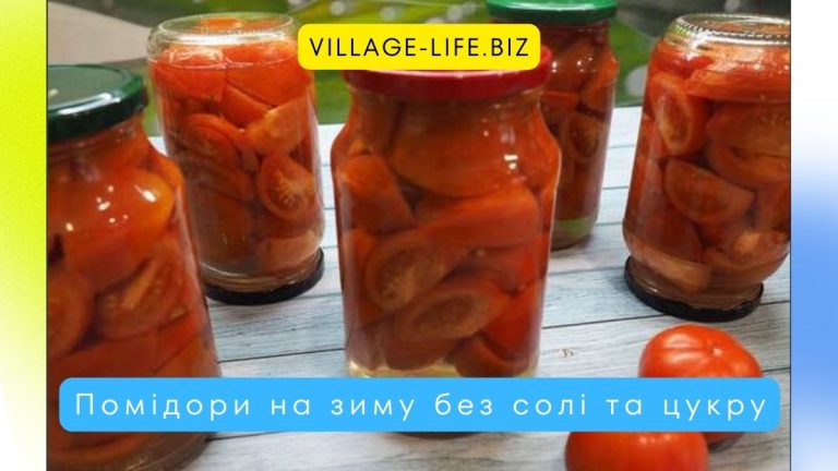 Помідори на зиму без солі та цукру – рецепт “Як свіжі” з водою