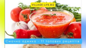 Аджика з помідорів і часнику: 11 рецептів смачної закуски на зиму