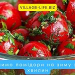 Солимо помідори на зиму за 5 хвилин: добірка простих рецептів