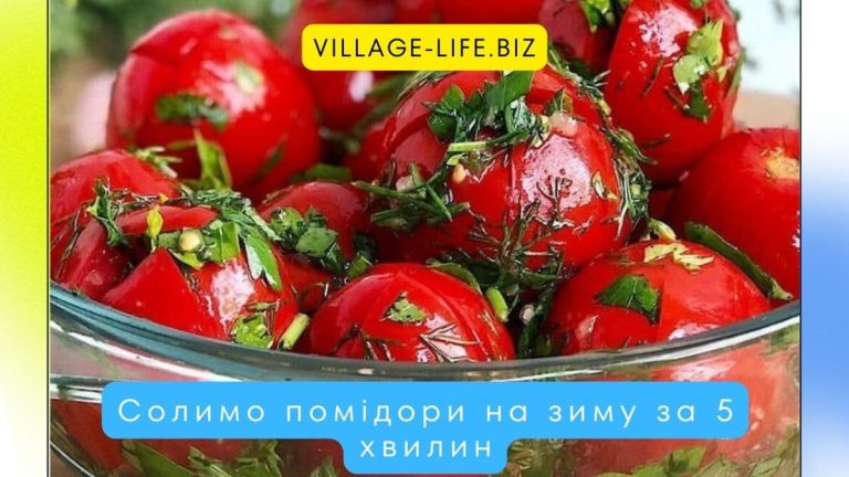 Солимо помідори на зиму за 5 хвилин: добірка простих рецептів