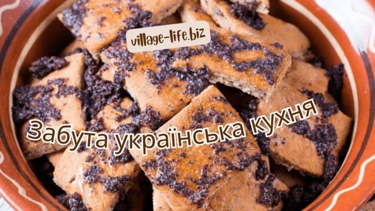 Найстаріші українські страви: як повернути традиційні смаки до свого столу