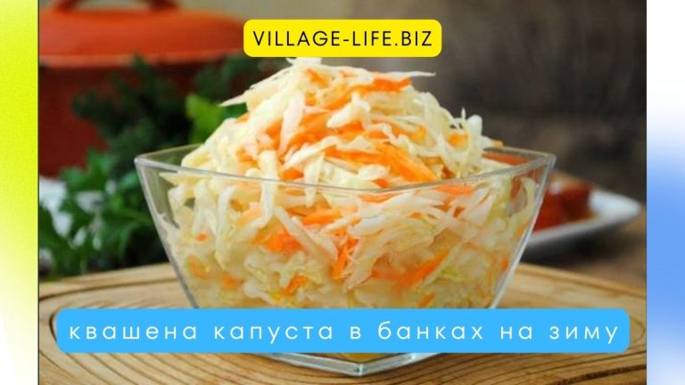 Простий рецепт: смачна квашена капуста в банках на зиму