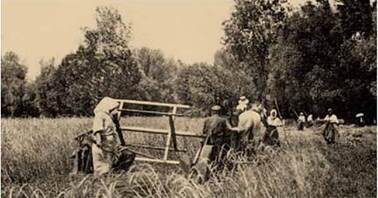 Реформа Столипіна