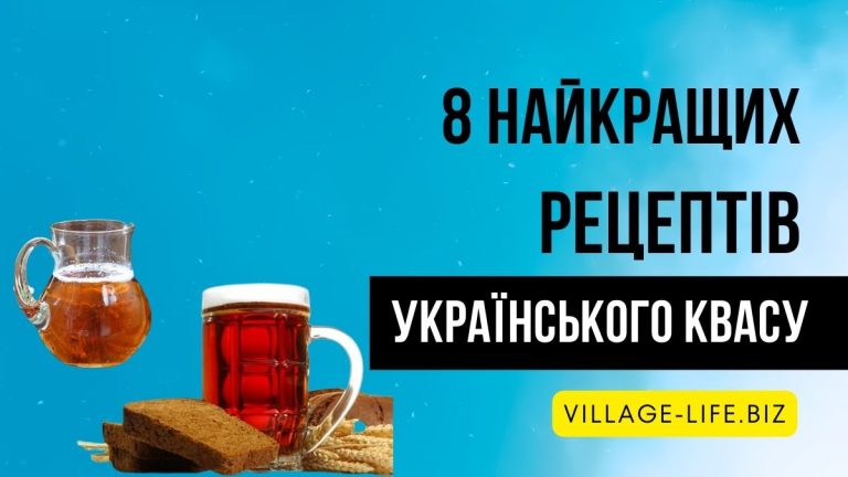 Український квас: секрети смаку та користі 8 видів цього популярного напою