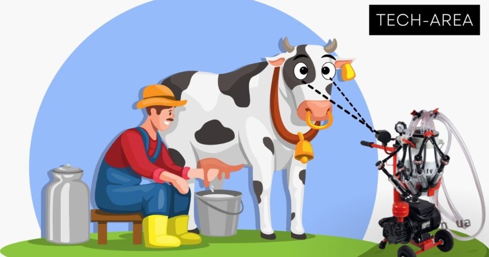 молочна продуктивність корови