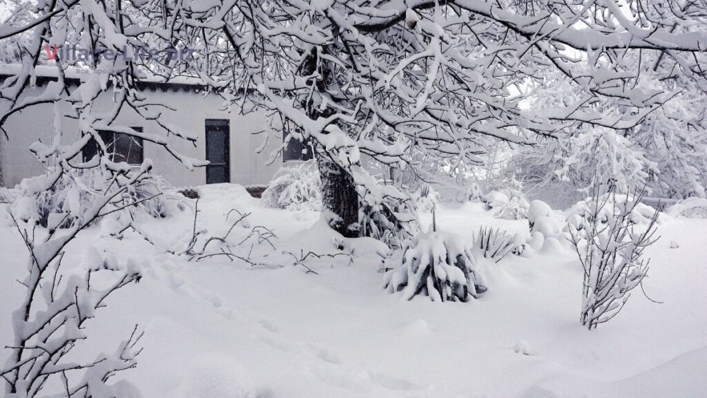 Як правильно накопичувати сніг у саду, городі та теплиці - снігозатримання