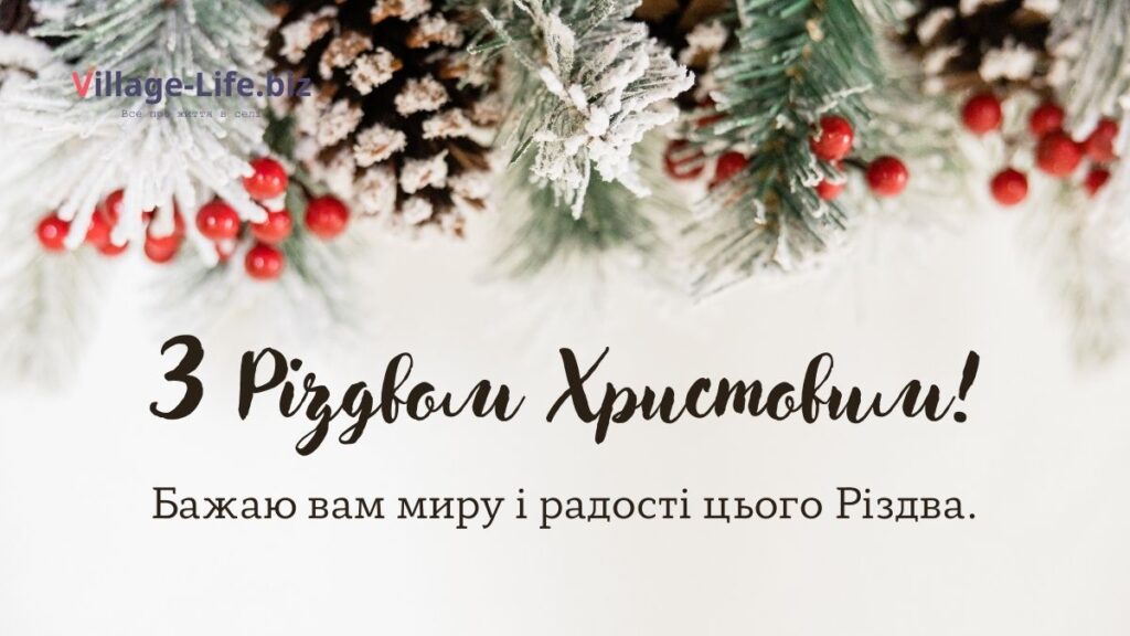Привітання з Різдвом Христовим своїми словами