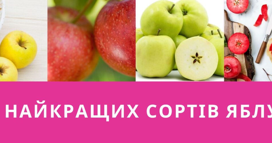 10 найкращих сортів яблук Village-Life.biz
