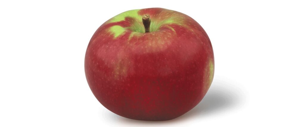 Макінтош яблука - 10 найкращих сортів яблук