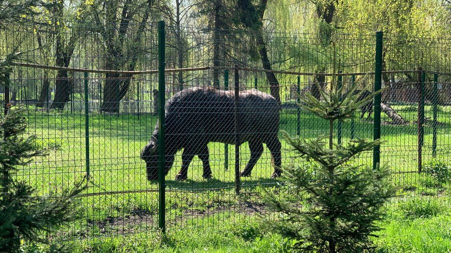 Тернопільський зоопарк