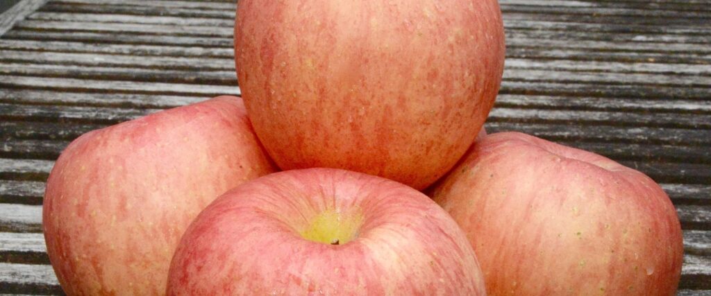 фуджі яблука - 10 найкращих сортів яблук