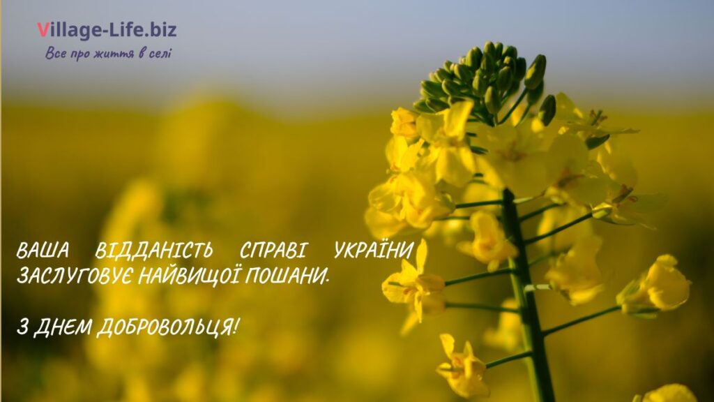 привітання до дня українського добровольця - 5