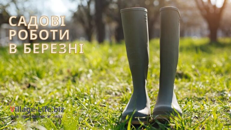 Cадові роботи в березні: зручний контрольований список робіт