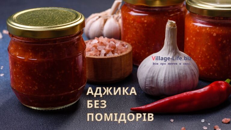 Як зробити аджику без помідорів на зиму – 9 найкращих рецептів