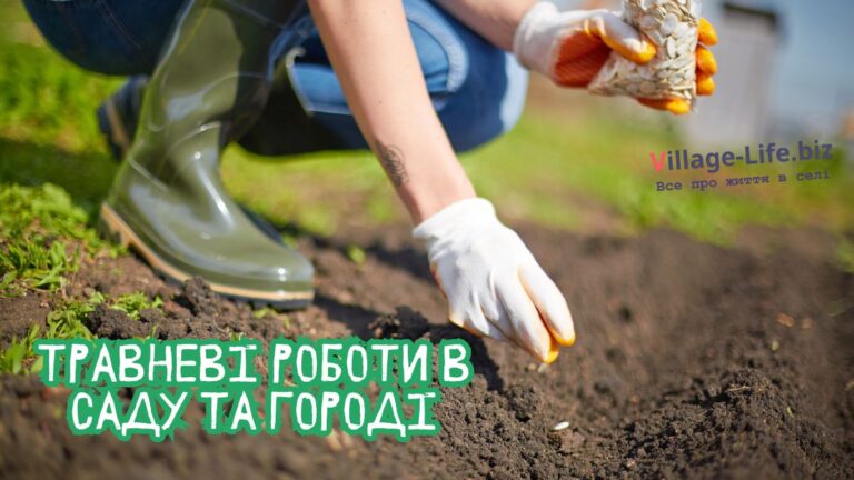 Травневі роботи в саду та городі. Список справ першорядної важливості