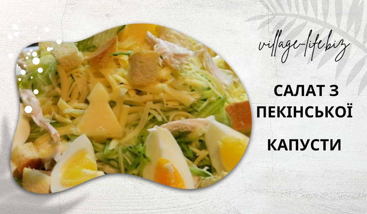 салат з пекінської капусти та курки