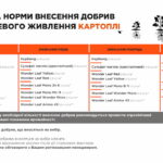 добриво під картоплю та будь-які овочі