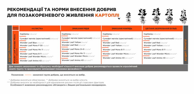 Найкращі добрива для картоплі та овочів від Makosh: Як підвищити врожайність у 2025 році