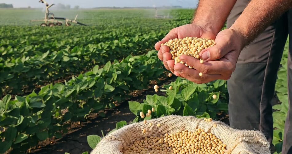підвищення врожайності сої