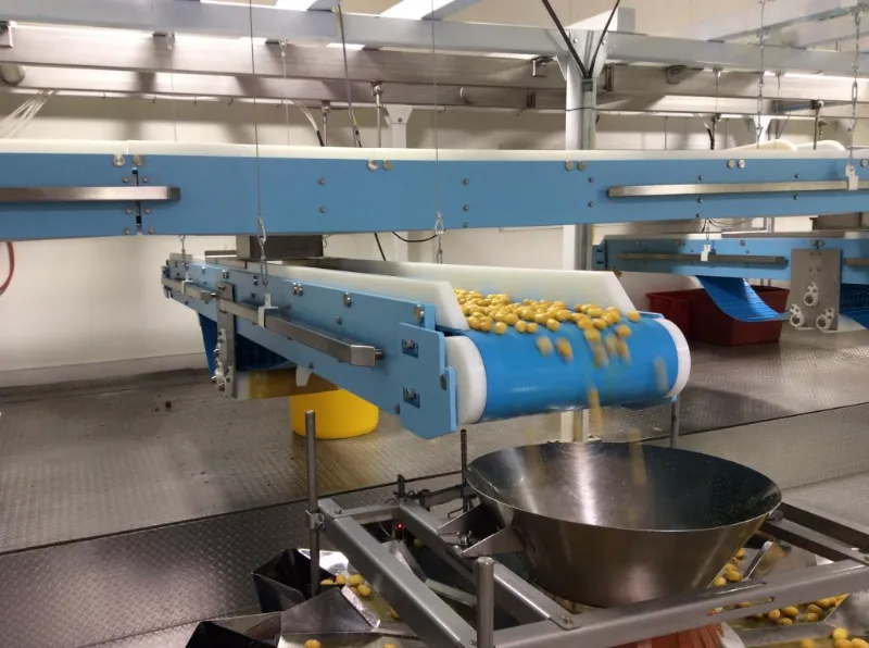 Food Grade Conveyors for Food Processing and Packaging